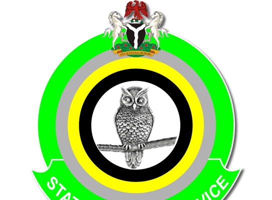 The DSS Operates Within Its Mandate