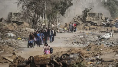 52 Palestinians Killed in Gaza Bombardment, Aid Worker Among Victims