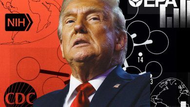 US Health Official Confirms Rollback on Trump-Era Biomedical Research Cuts