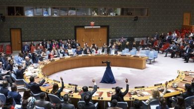 UN Security Council Backs US Israel-Gaza Ceasefire Plan