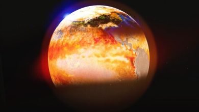 Global Ocean Temperatures Hit Record High as El Niño Intensifies