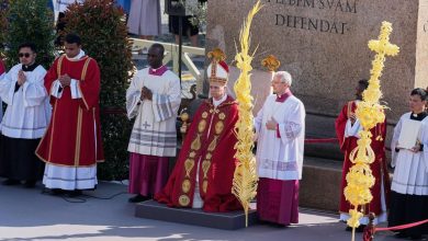 Pope Leo XIV Urges World to Reject War, Embrace Peace in Palm Sunday Message