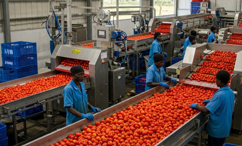 FG Targets N800bn for Agro-Processing, Renewable Energy in New ...