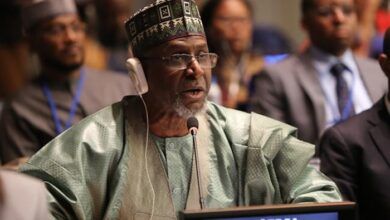 Breathe Easy Nigeria: FG Sets Clean Air Agenda with Global Partners