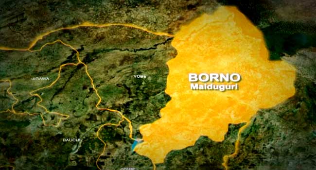 Borno Govt Rescues 73 Minors from Drug Abuse, Vows Ongoing Rehabilitation Efforts