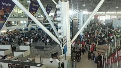 Fire Incident Forces Suspension of International Flights at Cape Town Airport