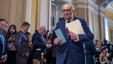 US Senate Blocks Vote to Prevent Government Shutdown Amid Immigration Dispute