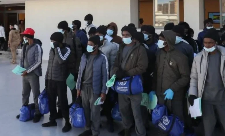 Canada Deports 366 Nigerians, 974 More Await Removal