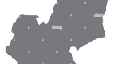 Edo State Declares Dengue Fever Outbreak, Confirms 86 Cases Across LGAs