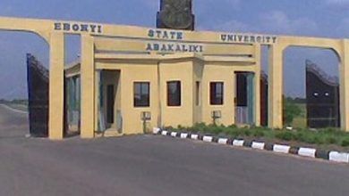 Ebonyi State University Expels Three Students for Alleged Possession of Firearms