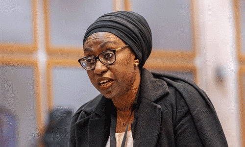 ‘Unlawful Suspension’: Gambian MP Demands Nigerian Senate Reinstate Natasha Akpoti