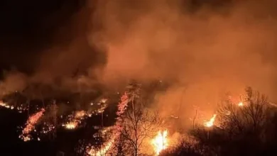 Devastating Wildfires Sweep South Korea, Claim Lives and Threaten Historic Sites