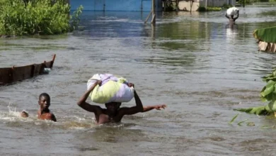 Incessant Rainfall, Flooding May Worsen Cholera Spread - FG