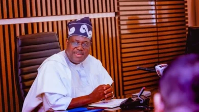SGF Akume Condemns Benue Massacre, Describes Attack as 'Mindless Barbarism'
