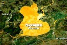 Gombe Steps Up Livestock Health Measures With Statewide Vaccination