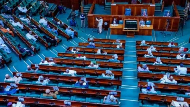 Reps to Hold Public Hearing on Wildlife Conservation Bill October 24