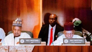 NEC Endorses Renewed Hope Development Plan 2026–2030, Sets Target of $1 Trillion Economy by 2030