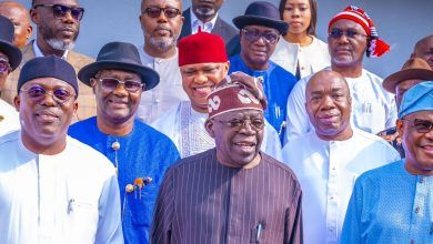 President Tinubu, Wike, Fubara Meet Ogoni Leaders in Aso Rock
