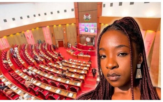 Senate Pushes for Mandatory Antivenom, Emergency Drugs in Hospitals After Abuja Snakebite Death