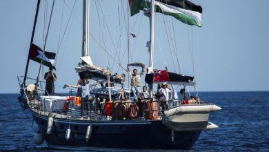 Israeli Forces Seize Gaza Aid Vessel with Greta Thunberg Onboard