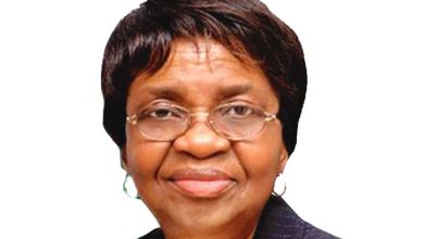 Professor Mojisola Adeyeye