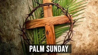 Christians Worldwide Mark Palm Sunday With Prayers for Peace Amid Global Tensions