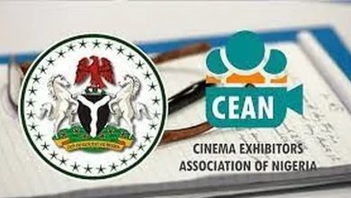 Nigeria's Cinema Generates N1.2 Billion In January