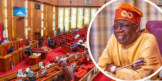 State Police Back on Agenda as Tinubu Urges Senate to Amend Constitution