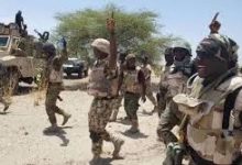 Troops Eliminate Terrorists, Recover Weapons and Motorcycles in Yobe Offensive