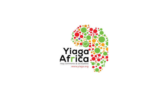 Anambra 2025: Yiaga Urges Parties to Inspire Voters, Not Just Campaign
