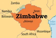 Zimbabwe Tightens Control as It Bans Mineral and Lithium Concentrate Exports