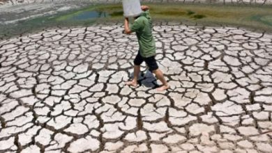 UN Warns Record Heat Trapped by Earth Could Last for Millennia