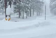 Six Rescued, Nine Still Missing After Deadly Avalanche Hits Castle Peak