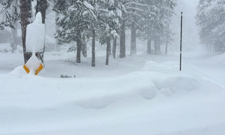 Six Rescued, Nine Still Missing After Deadly Avalanche Hits Castle Peak
