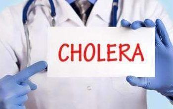 Rivers State Govt Confirms Five Cholera Cases, Reports Nine Associated Deaths