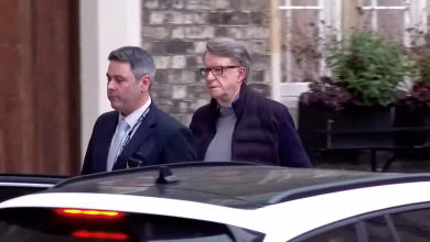 Epstein-Related Investigation Leads to Arrest of Senior British Political Figure