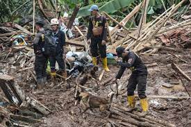 Four Bodies Found, Six Missing After Indonesia Landslide