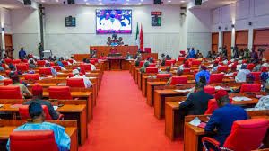 Bill Seeking to Increase Salaries, Allowances of Judges Passes Second Reading at Senate