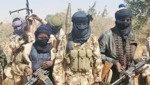Terrorists Kidnap 87 in Fresh Kaduna Attack