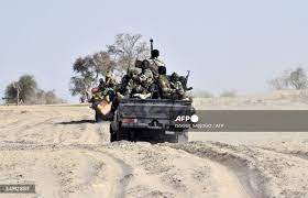 23 Soldiers Killed in ‘Terrorists’ Ambush - Niger