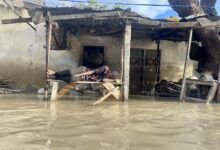 At Least Eight Buildings Collapse As Flood Takes Over Borno Streets