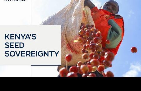Kenyan Court Strikes Down Parts of Seed Law, Says Restrictions on Seed Sharing Violate Constitution