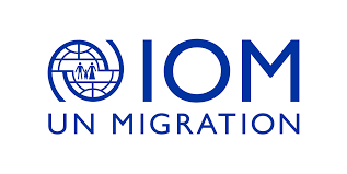 IOM Raises Alarm as Displaced Persons in Nigeria Hit 3.7 Million