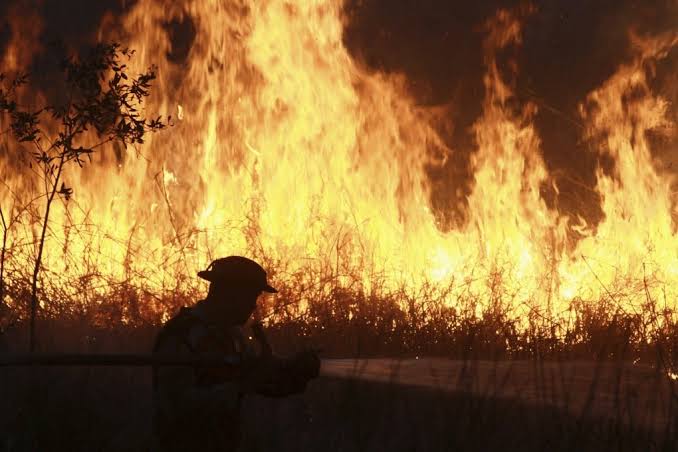 Indonesians Welcome Rain After Months of Wildfires, Toxic Haze and Health Fears