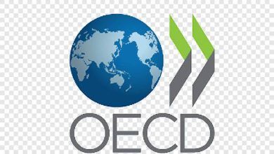 Nigeria Joins Forces with OECD to Combat Illicit Financial Flows and Boost Economic Growth