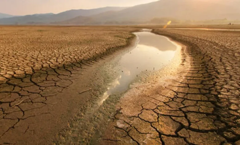 Turkey Endures Worst Drought in Half a Century, Crops and Communities Hit Hard
