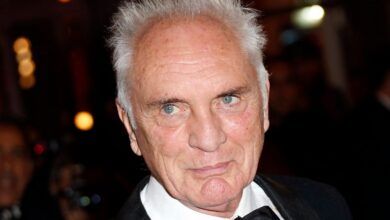 Terence Stamp, Iconic Actor and Superman Villain, Dies at 87