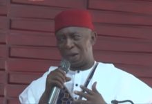 Senator Ned Nwoko