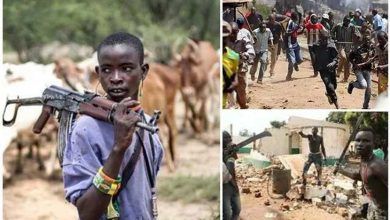Suspected Herdsmen Kill 33 in Coordinated Attacks Across Benue