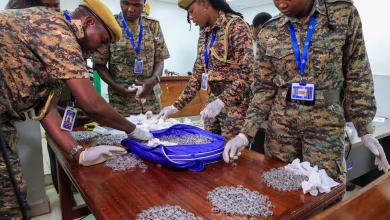 Two Men Arraigned in Kenya Over Alleged Ant-Smuggling Plot to China